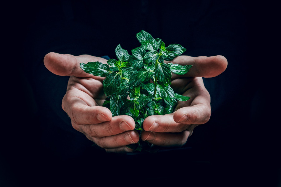 Idée reçue : une pub en ligne est plus écologique qu'une pub print