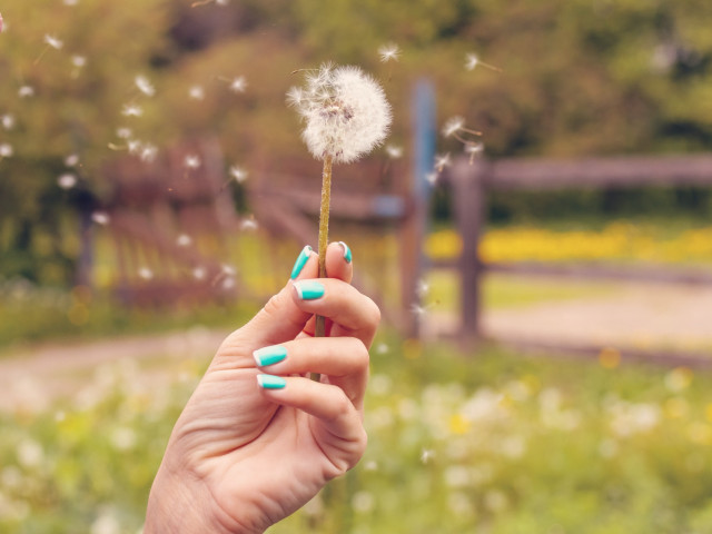 Contre la hausse des prix du papier et la pénurie : zoom sur un papier à base de pollen