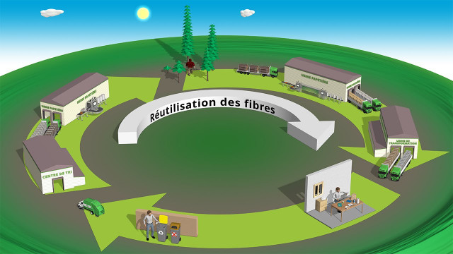 Idée reçue : Seul le papier recyclé devrait être utilisé !